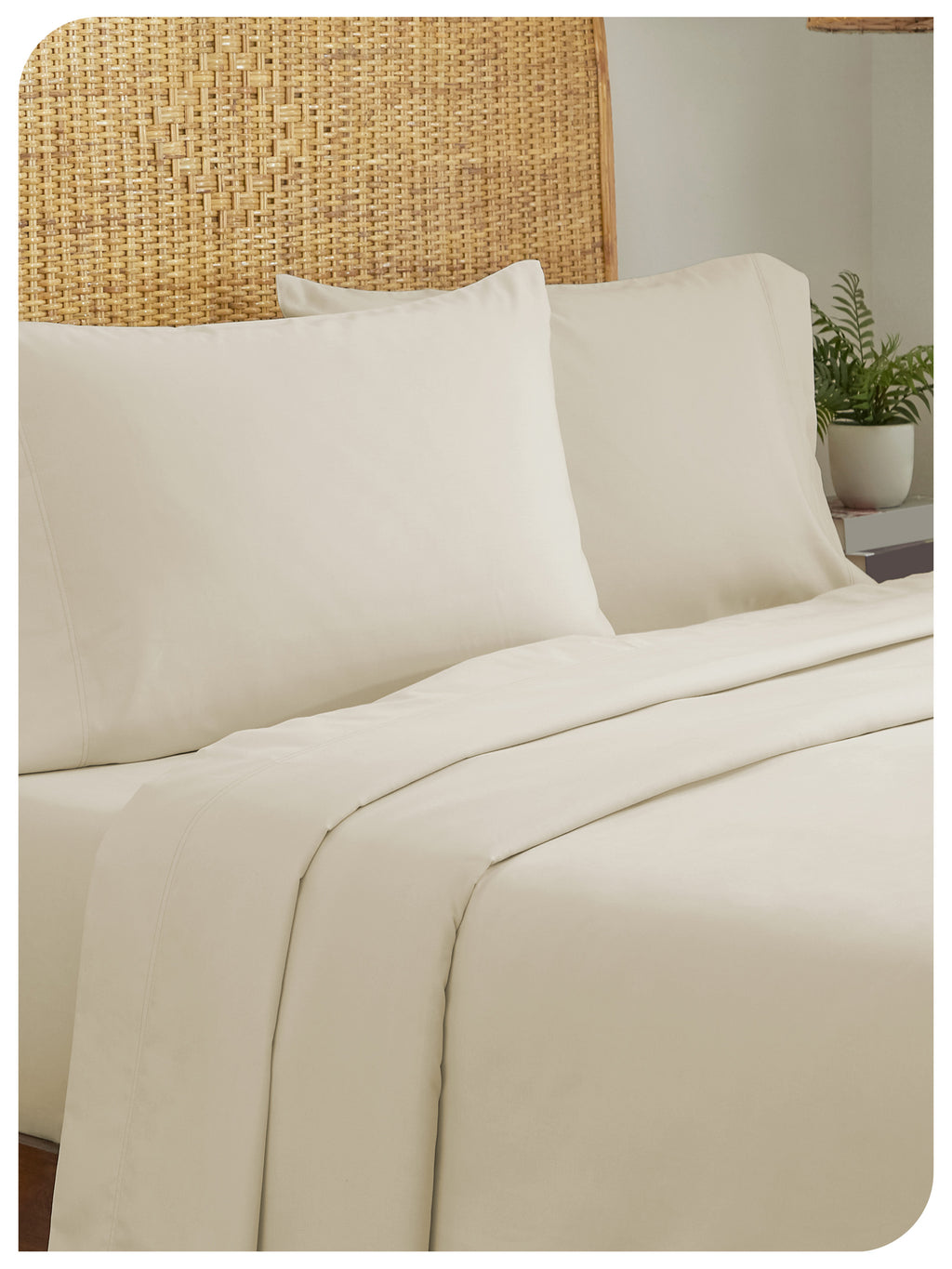 Natural Ivory