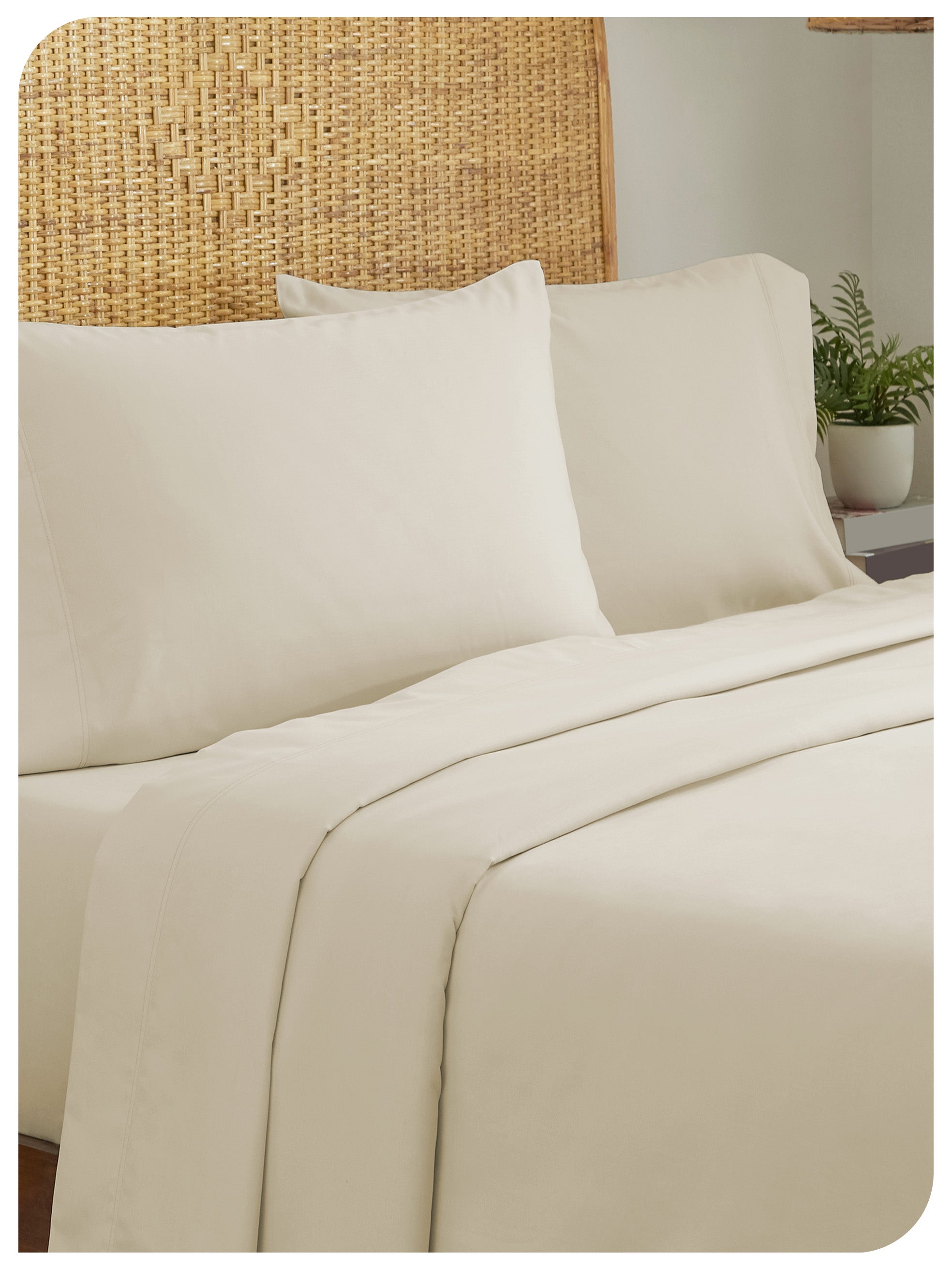 Natural Ivory