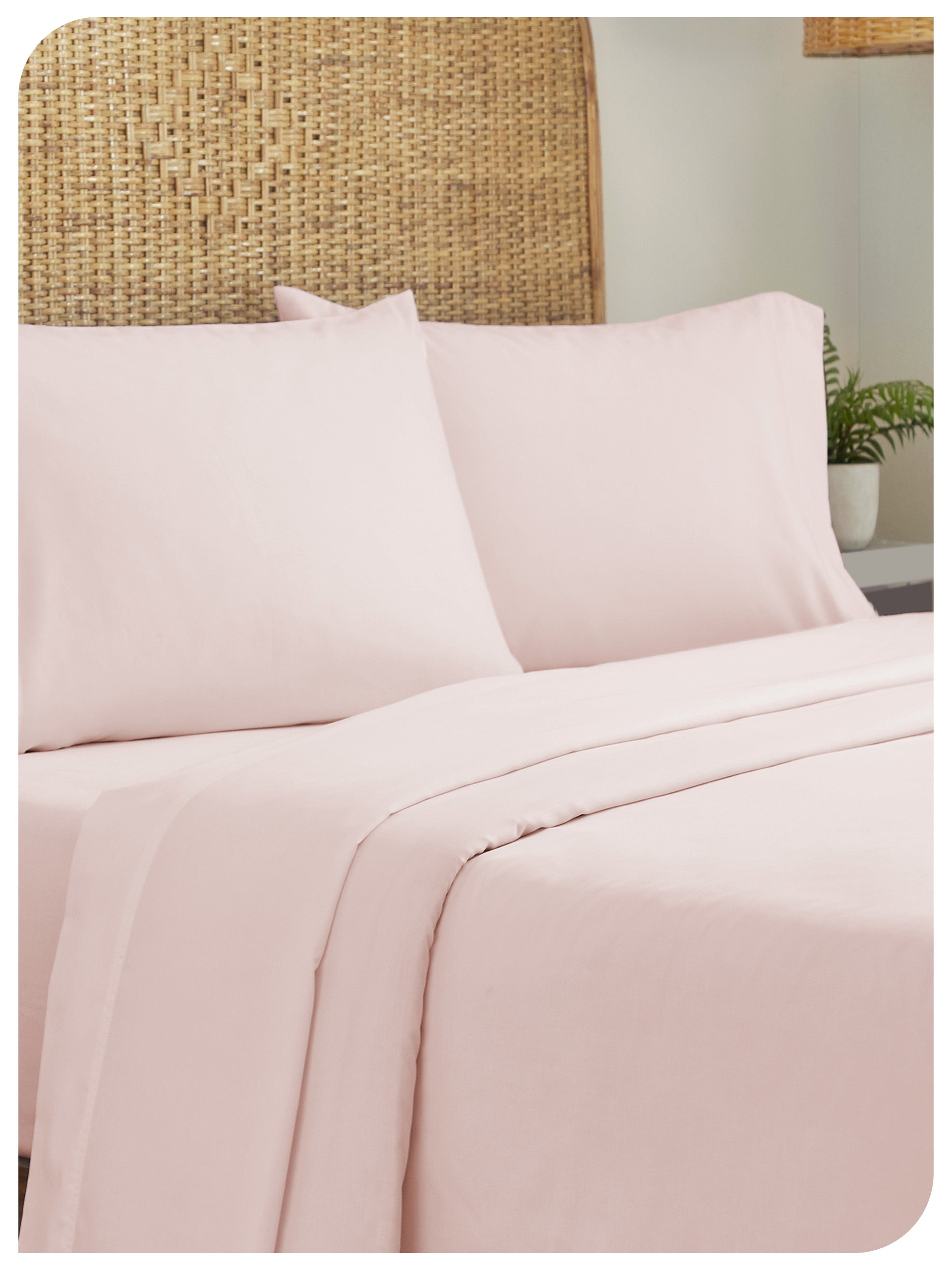 Blush Pink