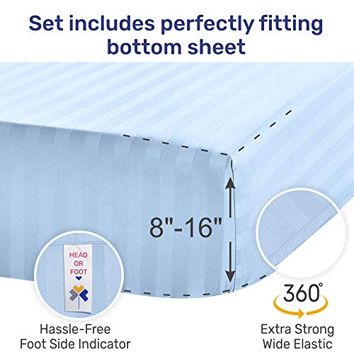 Sky Blue Stripe